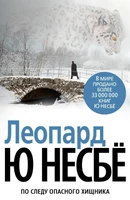 Леопард (архив) 1377441897