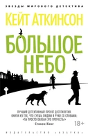 Большое небо (мягкая обложка) 1703255391