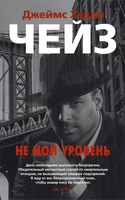 Не мой уровень (мягкая обложка) 1626081532