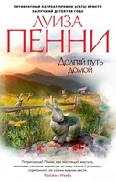 Долгий путь домой (мягкая обложка) 707163485