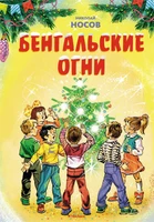 Бенгальские огни (илл. В. Канивец) 853090972