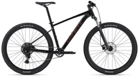 Горный велосипед Giant Talon 2 29 (2024) 785915215