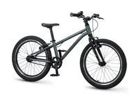 Детский велосипед Maxiscoo Stellar 20'' (2026) 1702572580