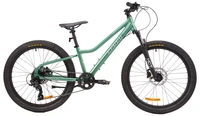 Подростковый велосипед Alpinebike Pegas 24 7 ск. (2026) 1408989880