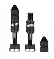 Ниппель бескамерный E Thirteen Quickfill Gen2, 16-24 мм., Schrader, 2 шт. 463300566