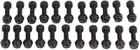 Шипы к педалям E Thirteen Base, 22 Steel Pins/Nuts 2010181198
