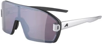 Очки Alpina Bonfire Mag Q (2025) 542770676