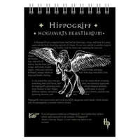 76404 Блокнот Гарри Поттер, формат А5, 60 листов, на гребне, блок-офсет, целлюлозный картон 200 гр/м2, в клетку, размер 141*201 мм 1190109635