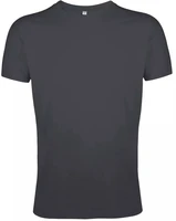 Футболка мужская Regent Fit 150, темно-серая 296703395