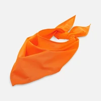Шейный платок Bandana, оранжевый 457466859