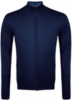 Джемпер мужской Gordon Men, темно-синий 213465107