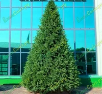 Green Trees Ель Финская Премиум 3.0 м. хвоя РЕ+PVC - ЕФП-3.0РP 1097453686