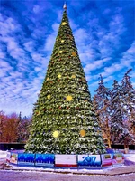 Green Trees Высокая Ель Рублевская 6.0 м. хвоя пленка - ЕР-600П 369712959