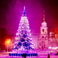 Green Trees Высотная Уличная Ель Альпийская 8.0 м. хвоя пленка - ЕА-800П 1820920271