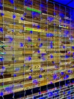 Светодиодный занавес уличный 2x2м. 280 синих диодов, с мерцанием, белый пвх - B.03.6W.280.F+ IP54 Winner Light 1618151518