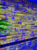 Светодиодный занавес уличный 2x2м. 289 синих диодов, с мерцанием, прозрачный силикон - A289LFGS-BL IP65 LEON LED (LIGHT) 1953764234