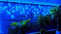 Светодиодная бахрома уличная 30x0.6м. 1200 синих диодов статика, пульт ДУ, черный каучук - 30-B12004565Hb IP65 CEIMAR 1939704211