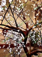 Светодиодное дерево Сакура 3 м., 1632 белых диодов с керамическим стволом - CRM 1632 W CEIMAR 1838350500