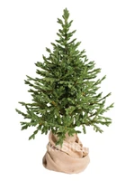 Green Trees Ель Датская Премиум 1.5 м. 1175793563