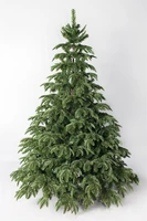 Green Trees Ель Онтарио Люкс 1.8 м. 1379087965