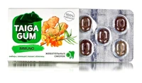 Смолка жевательная Taiga Gum “Immuno” для иммунитета №5*8г 20290