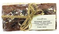 Шоколад молочный клюква, сосновая шишка, кедровый орех 100г 21266