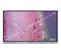 Интерактивная панель SURWISE HS-75IW-L06PA 1627725579
