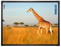 Интерактивная доска 88" ActivBoard Touch 6 касаний, ПО ActivInspire 1374776191