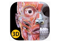 Анатомический 3D_атлас Systema, пакетная лицензия на 30 персональных учетных записей на 2 года 1981171