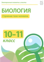 Электронные плакаты и тесты. Строение тела человека Новый диск 238526419