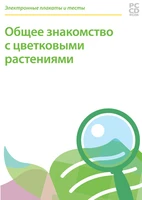 Электронные плакаты и тесты. Общее знакомство с цветковыми растениями Новый диск 649356289