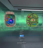 Программное обеспечение "Биология. Цитология VR 5-11 класс" Modum Lab 2015576415