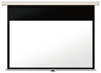Экран настенный Lumien Master Picture LMP-100109CSR (16:9) 195х276 (150х266, MW) 541814566