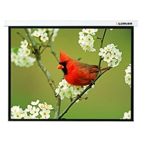 Настенный экран Lumien Master Picture LMP-100114 (4:3) 406x305 (398х297, MW) 2028383845