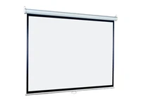 Экран настенный ScreenMedia SPM-1101 Economy-P (1:1) 150x150 (144x144, MW) 294587422