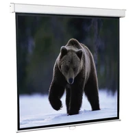 Экран настенный ScreenMedia SGG-4301 Goldview (4:3) 153x114 (147x108, GB) 749265277