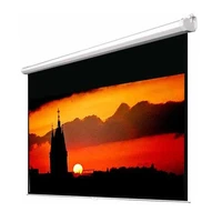 Экран настенный Classic Norma (16:9) 308x300 (W 300x168/9 MW-M4/W ED) 1642636532