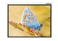 Экран с электроприводом Lumien Master Control LMC-100127 (16:10) 180x115 (168х105, MW) 190654014