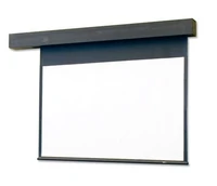 Экран с электроприводом Draper Rolleramic NTSC (3:4) 508/200" 300*401 XT1000E (MW) 1519056152