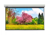 Экран с электроприводом Lumien Master Large Control LMLC-100116A (16:10) 320x495 (303х485, MW FG) 161820040