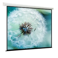 Экран с электроприводом ViewScreen Breston EBR-4307 (4:3) 305x229 (297x221, MW) 332399697