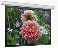 Экран с электроприводом ScreenMedia EL-M240WM Elegant (16:9) 498х342 (488x274, FMW) 1549433702