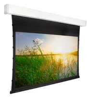 Экран с электроприводом Premier Phoenix-R (16:9) 342х342 (E 332x187/9 (MW)-PR/W) 730063468