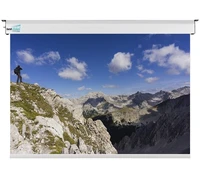 Экран с электроприводом Best Vision Large (1:1) 251" (450x450, MW) 520915476