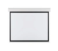 Экран с электроприводом Best Vision ANATOLIA (1:1) 130" 244x244 (234x234, MW) 809006162