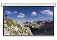 Экран с электроприводом Best Vision Large (16:10) 277" 610x390 (600x375, MW) 1718276393