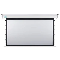 Экран с электроприводом Best Vision Large Tensioned (16:10) 226" (488x305, MW) 185297077