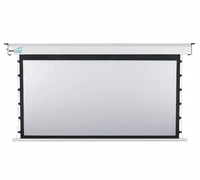 Экран с электроприводом Best Vision Large Tensioned (16:9) 270" (599x338, MW) 1729596519