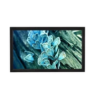 Экран настенный ViewScreen Omega OMG-16904 (16:9) 311x181 (295x165 MW) 1375835636