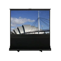 Экран мобильный Epson ELPSC24 2024839769